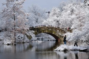 Peisaje de iarnă de basm în New York: schi, saniute și lacul înghețat din Central Park