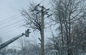 Vântul puternic afectează rețelele electrice în Prahova, Buzău și Brăila; Câmpina fără apă potabilă