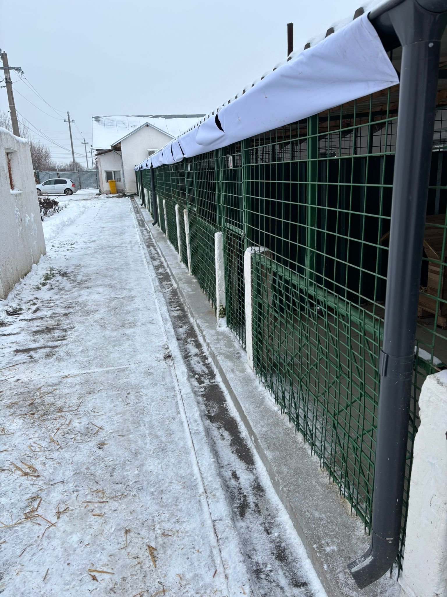 Autoritatea pentru Supravegherea și Protecția Animalelor (ASPA) se confruntă cu dificultăți majore în asigurarea condițiilor optime pentru animalele aflate în grijă, ca urmare a temperaturilor extrem de scăzute și a gerului persistent