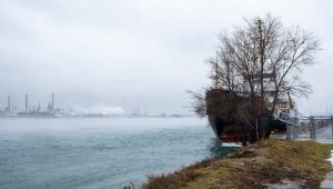 Prognoza meteo pentru St. Clair County, Michigan, marți, 13 ianuarie