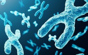 Potential de creștere semnificativ pentru 2026: Ce ne rezervă viitorul?