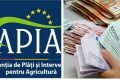 APIA anunță ASTĂZI: Plăți crescătorii de animale!