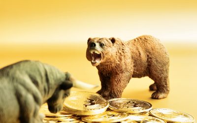 Are Crypto ETFs the New Portfolio Staple or a Fad?