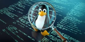 Kubuntu 26.04 LTS, una dintre cele mai așteptate lansări Linux din 2026
