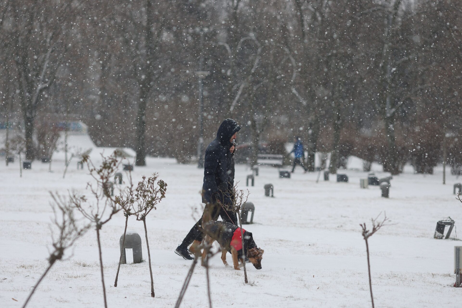 Ninsori abundente și viscol în București și alte județe din țară Administrația Națională de Meteorologie (ANM) a emis duminică un cod galben de ninsori, lapoviță și ploi, valabil până marți dimineață, afectând majoritatea regiunilor din România