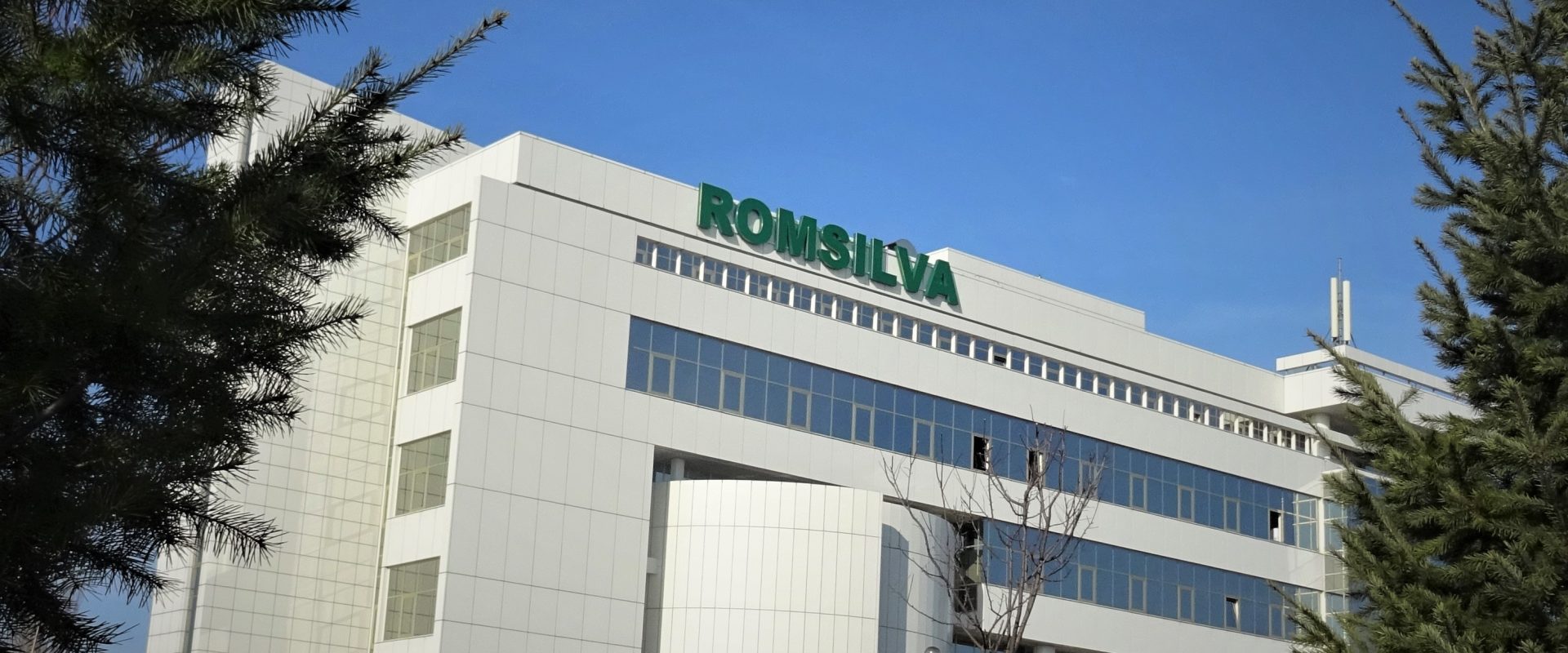 Romsilva demarează selecția pentru postul de Director General