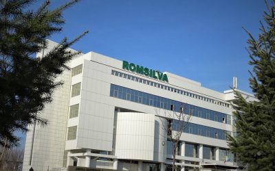 Romsilva demarează selecția pentru postul de Director General