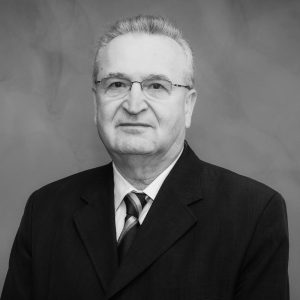 Viitor proiect de țară: Aderarea României la Zona Euro, sugerează Vasile Pușcaș