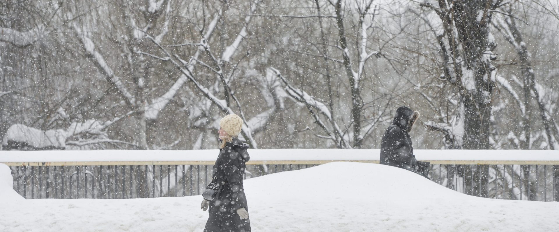 Vortexul Polar pe punctul de a se prăbuși în februarie. Europa poate primi un val de frig consistent. Iată fereastra „periculoasă”