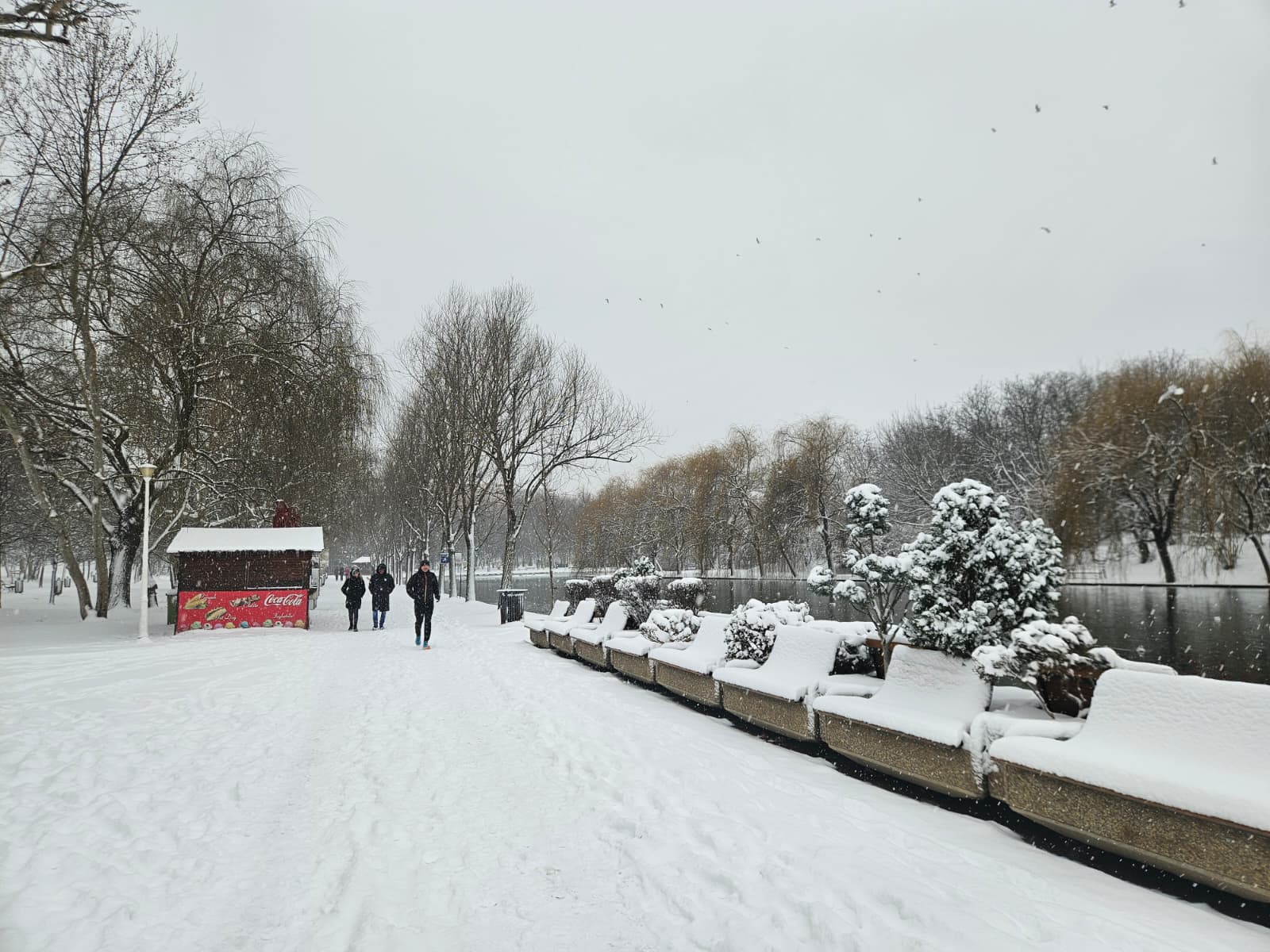 Bucureștiul se îmbracă în alb: ninsori și prognoza pe luni
