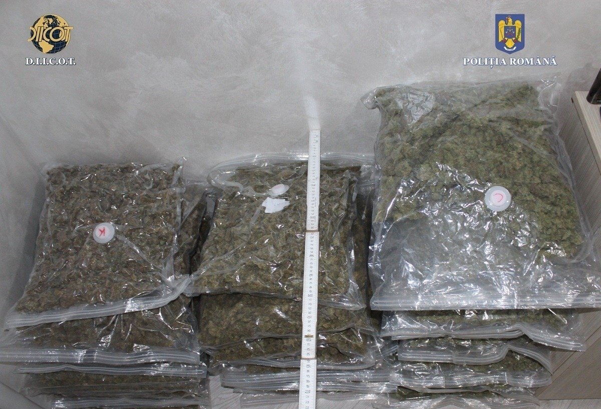 Poliția Vrancea a făcut o nouă descoperire în cadrul anchetei privind traficul internațional de droguri, confirmând faptul că fenomenul infracțional este mai extins și mai bine structurat decât s-ar fi crezut până acum