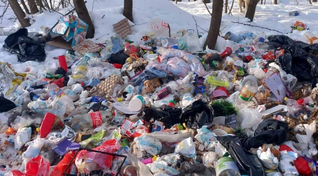 Un incident recent scoate în evidență problematica gestionării deșeurilor în zonele rurale ale județului Alba, ilustrând atât dificultățile locale în eficientizarea serviciilor de salubritate, cât și controversele generate de comportamentul cetățenilor