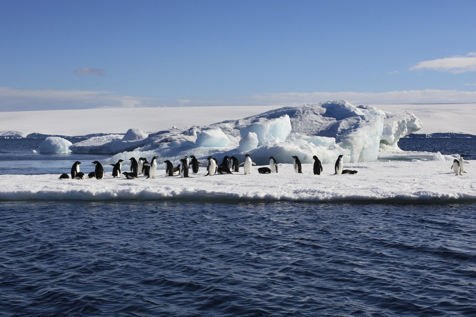 O descoperire de senzație în lumea științei a dezvăluit un peisaj nemaivăzut până acum sub stratul de gheață al Antarcticii