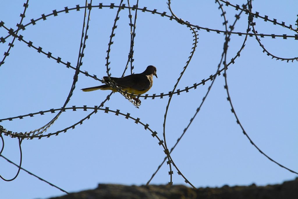 Zeci de familii de imigranți au ieșit sâmbătă în fața unui centru de detenție din Texas, protestând împotriva expulziei și tratamentului aplicat migranților, în special celor cu copii mici, după ce o familie din Ecuador a fost reținută și trimisă acolo săptămâna aceasta