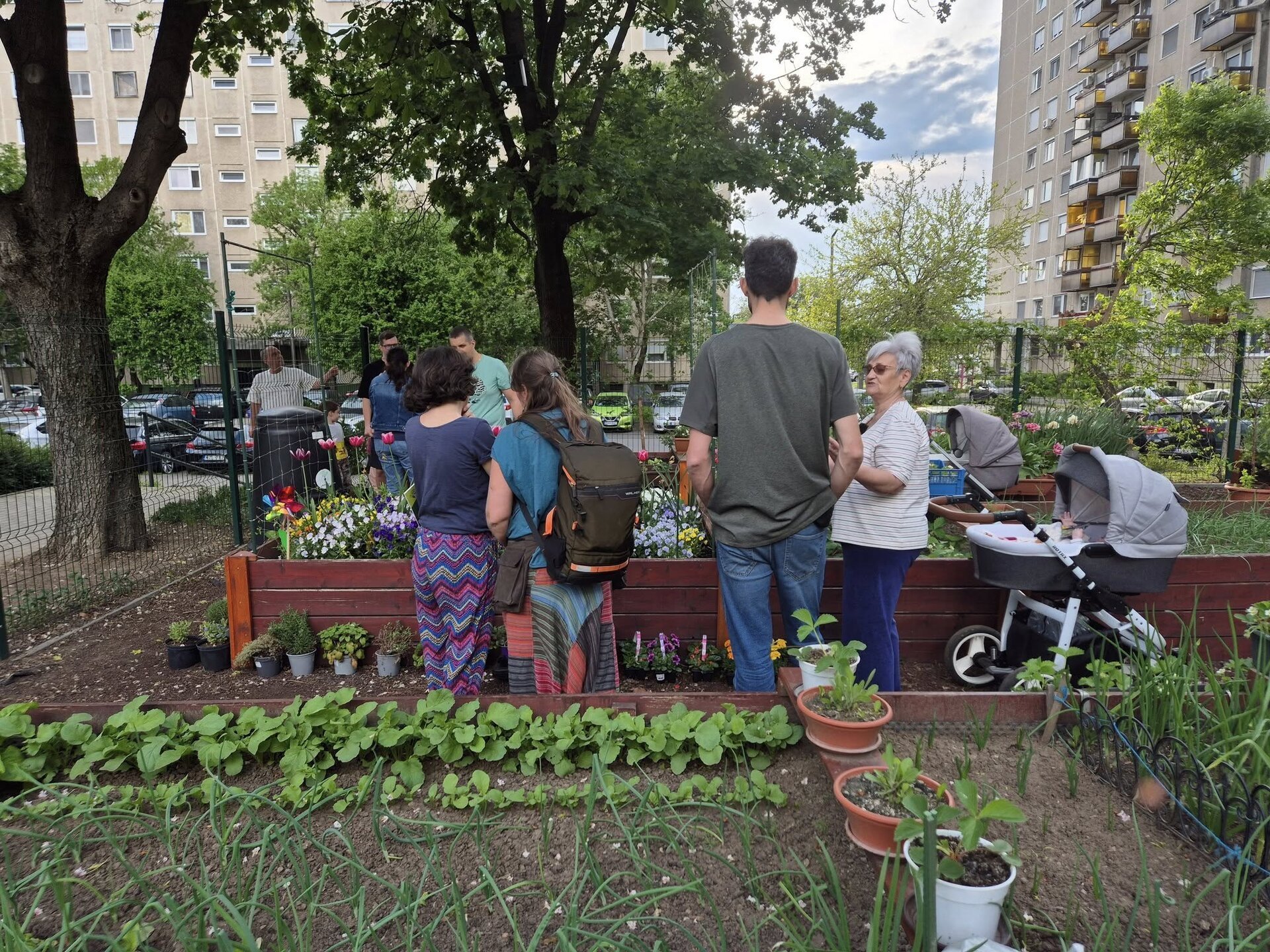 Zeci de organizații civice din București și alte orașe din țară solicită oficial autorităților locale legalizarea și sprijinirea grădinilor comunitare pe terenuri publice, o practică obișnuită în multe țări europene, dar încă interzisă în România