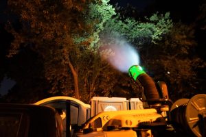 Planul de 5,5 milioane euro pentru eliminarea șobolanilor și țânțarilor, blocat la Primărie în 2026