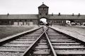 instagram-zdjecia-auschwitz-birkenau-1180×541-1-1000×485.jpg