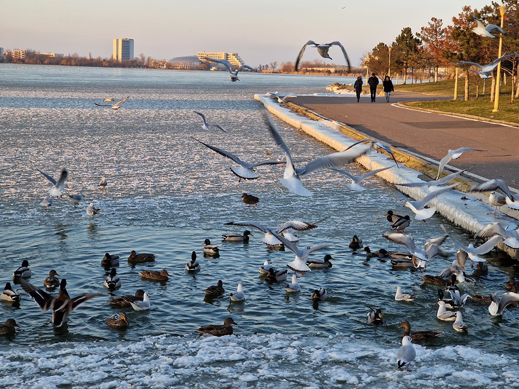 lacul-tabacarie-constanta-inghetat-parc-frig-ger-iarna.jpeg