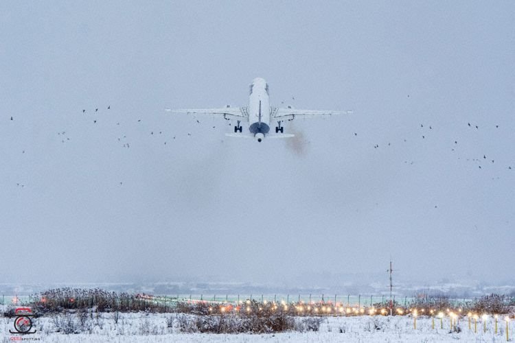 Aeronava Lufthansa a fost nevoită să oprească zborul și să reia alt traseu după ce a lovit un stol de păsări în apropiere de Cluj Un incident neobișnuit a avut loc duminică dimineață în circumstanțe tensionate pentru o aeronavă Airbus A320-200 a companiei Lufthansa, care venea din München și avea în plan aterizarea pe Aeroportul Internațional din Cluj