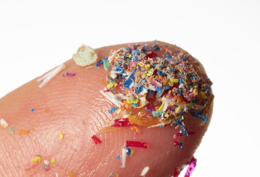 Microplasticul, problema silențioasă a ecologiei globale, a fost desemnat oficial drept una dintre cele mai pregnante amenințări ale viitorului