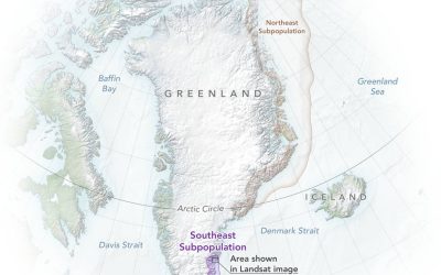 polarbears_greenland_map_2022_lrg.jpg