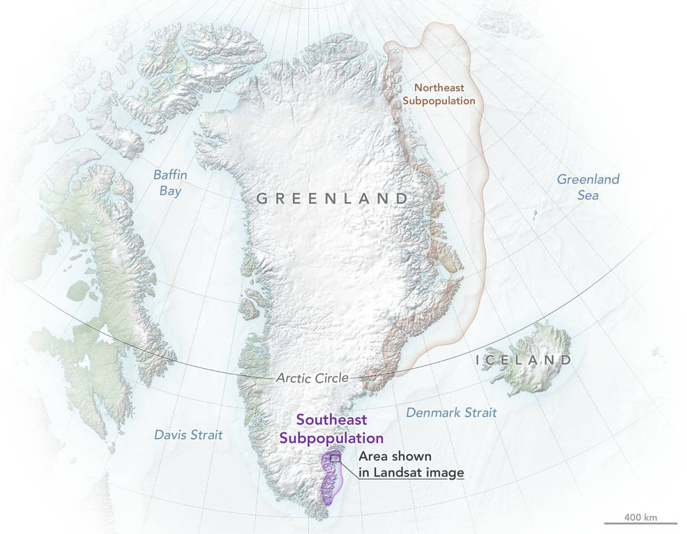polarbears_greenland_map_2022_lrg.jpg