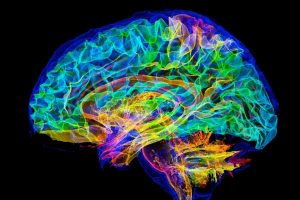 Cercetare revoluționară avansează în înțelegerea minții umane
