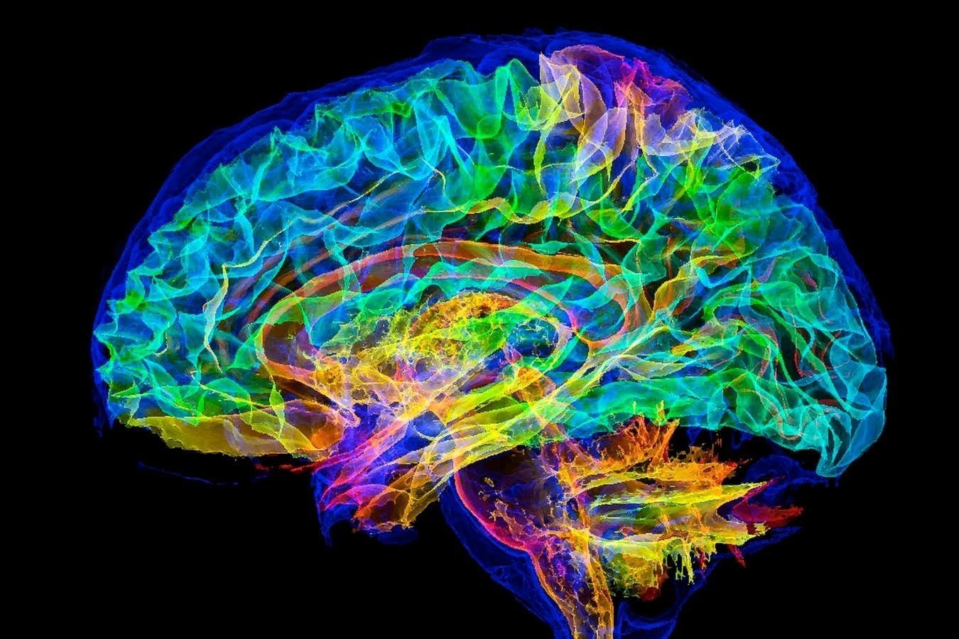 Cercetarea revoluționară în neuroștiință aduce o posibilitate care părea de curând doar un scenariu de science-fiction: simularea completă a creierului uman pe un supercomputer