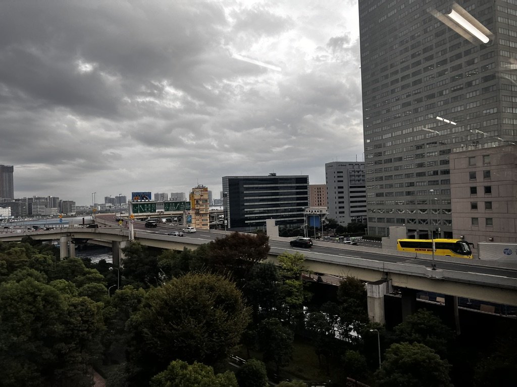 Criza rutieră provocată de frunzele de ceai căzute dintr-un camion în Japonia s-a soldat cu un deces și trei răniți, într-un accident care a zguduit autoritățile locale și a atras atenția asupra pericolelor neprevăzute ale transportului de mărfuri perisabile