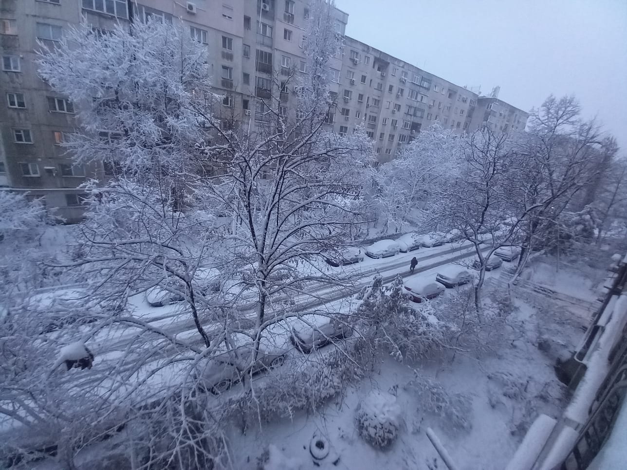 Bucureștiul se pregătește pentru un val de iarnă cu temperaturi ekstrem de scăzute și ninsori viscolite, manifestări care vor persista cel puțin până la mijlocul lunii ianuarie