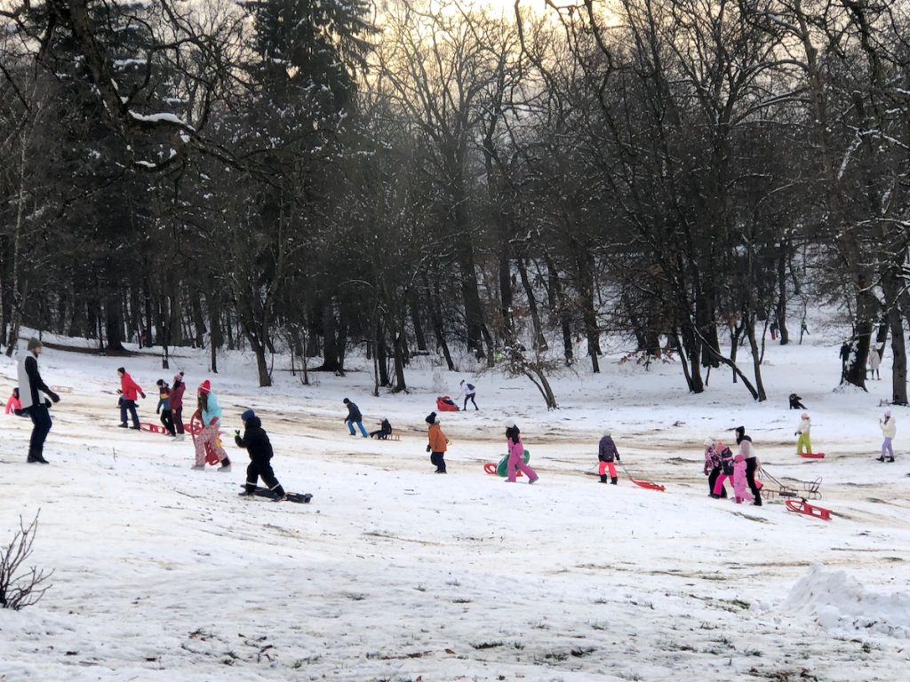 Sibienii s-au confruntat în ultimele zile cu o dificultate neașteptată: găsirea unei sani pentru distracția pe zăpadă