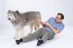 „Efectul Pufi” în Sector 2: Film românesc pentru hrănirea animalelor din adăposturi