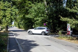 Drumul „super-locuitorilor” din Greenfield, reîmpădurit după constatările Ministerului Mediului