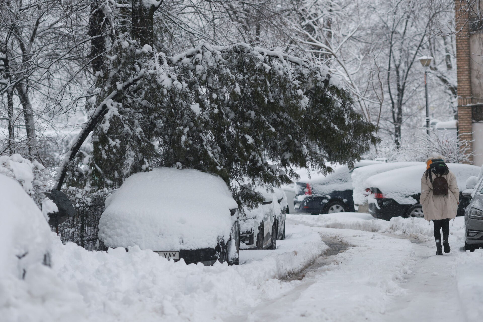 Revenirea brutală a iernii a adus în Capitală și împrejurimi pagube semnificative, demonstrând încă o dată cât de vulnerabile pot fi orașele în fața fenomenelor meteorologice extreme