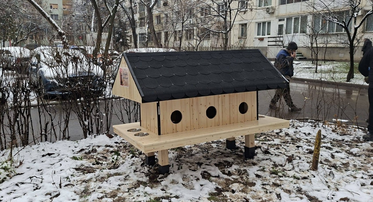 Patru-noi-casute-pentru-pisici.jpg