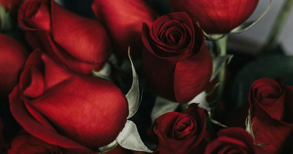 North Carolinians have lost millions in romance scams. What FBI, BBB warn ahead of Valentines Day :: WRAL.com