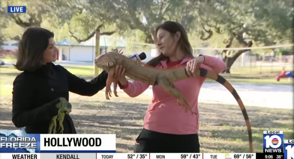 Furtuna de iarnă paralizează sud-estul Statelor Unite, provocând haos și perturbări majore în transporturi Sud-estul Statelor Unite se confruntă în aceste zile cu o furtună de iarnă extrem de puternică, care a adus ninsori abundente, temperaturi scăzute și un val de deteriorări în infrastructură