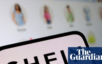 EU to investigate Shein over sale of childlike sex dolls and weapons | Shein