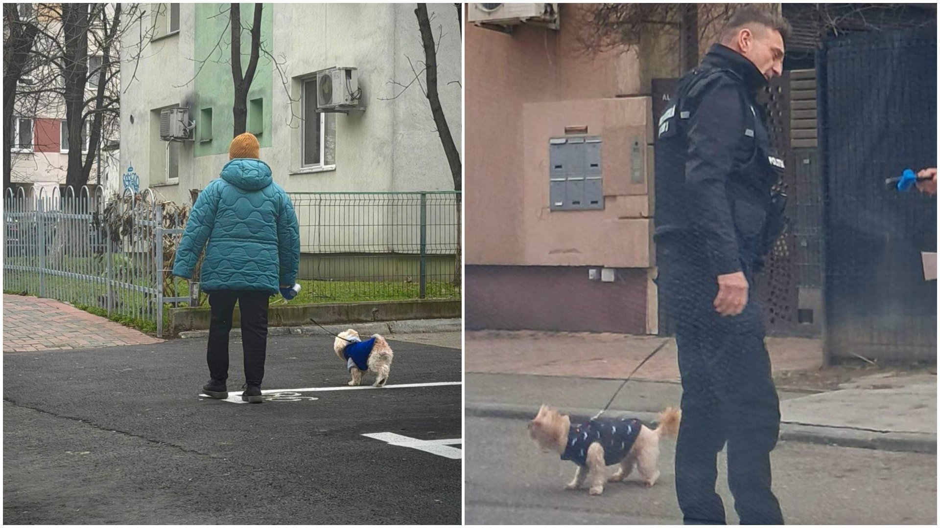 Primăria Sectorului 3 din București a demarat o campanie strictă menită să reducă problemele legate de gestionarea deșeurilor provenite de la animalele de companie, mai ales după izbucnirea unor cazuri frecvente de nesupunere civică în rândul proprietarilor de câini