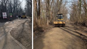 Ministerul Mediului modernizează drumul din Pădurea Băneasa, deși cartierul Greenfield ar trebui reîmpădurit