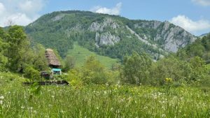 Companie canadiană descoperă zăcăminte de uraniu, cobalt, nichel, aur în Apuseni