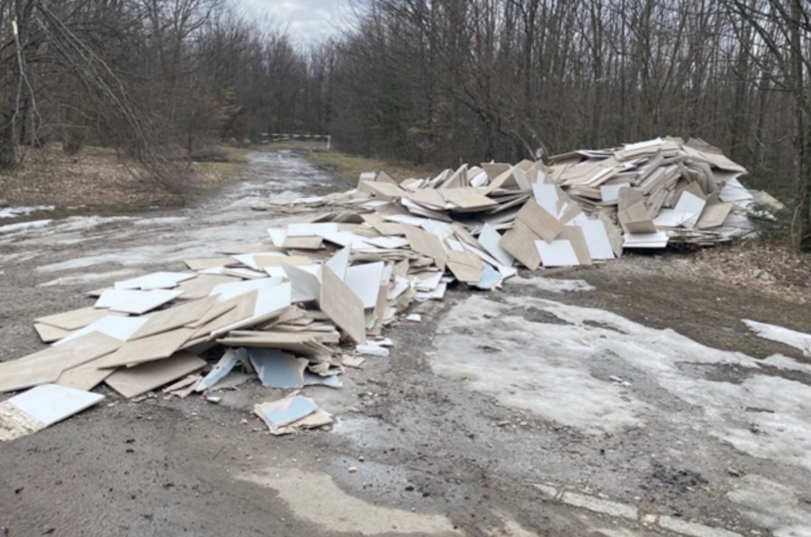 În interiorul Parcului Național Cheile Nerei–Beușnița, un ecosistem de o frumusețe rară și protejat de legislația națională și europeană, a fost descoperită recent o zonă în care au fost abandonate ilegal deșeuri de materiale de construcții