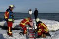 rettungseinsatz-eisscholle-scharbeutz-strand.jpg