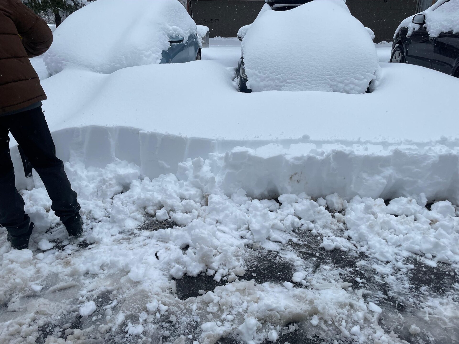 Orașul București se confruntă, în aceste zile, cu unul dintre cele mai intense episoade de iarnă din ultimele decenii, fenomen care afectează deja întreaga infrastructură urbană și implică autoritățile în măsuri de urgență