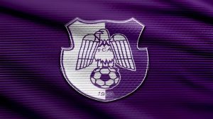 FC Argeș solicită publicarea înregistrărilor VAR după incidentul Petrescu