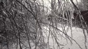 Gerul siberian lovește România: cod galben pentru temperaturi extreme