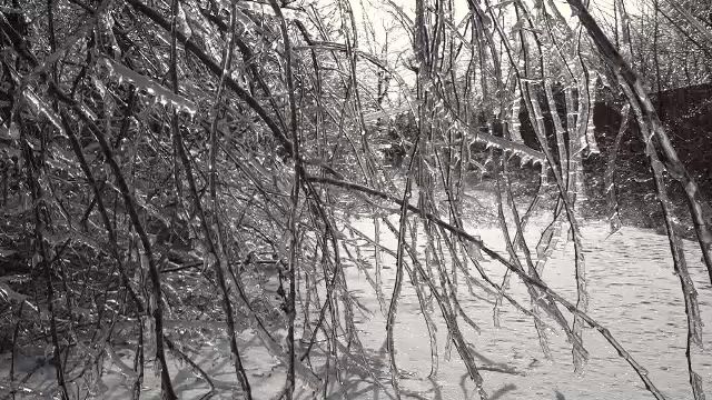 Gerul s-a instalat în sudul țării: temperaturi extrem de scăzute în perspectiva weekend-ului De duminică, o masă de aer rece va aduce temperaturi alarmante în întreaga jumătate estică a României, inclusiv în București