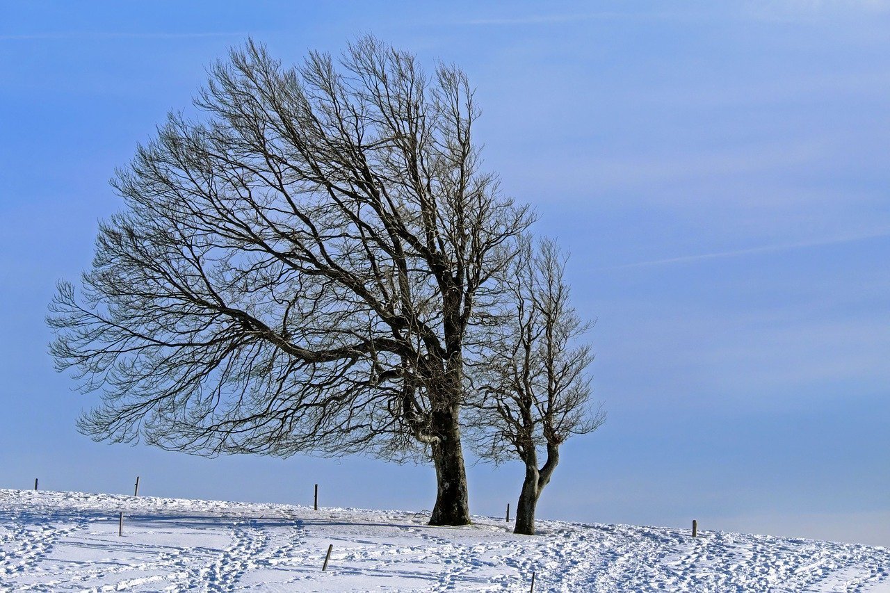 Administrația Națională de Meteorologie (ANM) a emis, duminică dimineața, o atenționare nowcasting de Cod galben de vânt puternic pentru anumite zone montane din centrul și sudul țării