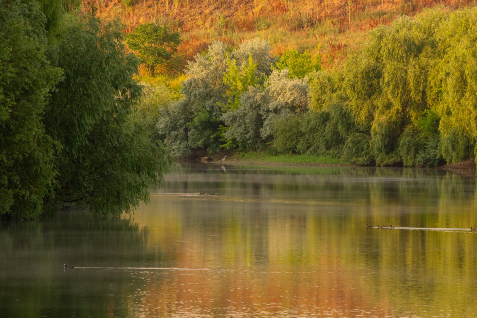 Atelier de fotografie în natură, pe traseul Dâmbovița Bucureștenii sunt invitați duminică, 22 martie, la o plimbare fotografică prin zona verde dintre râul Dâmbovița și Lacul Morii