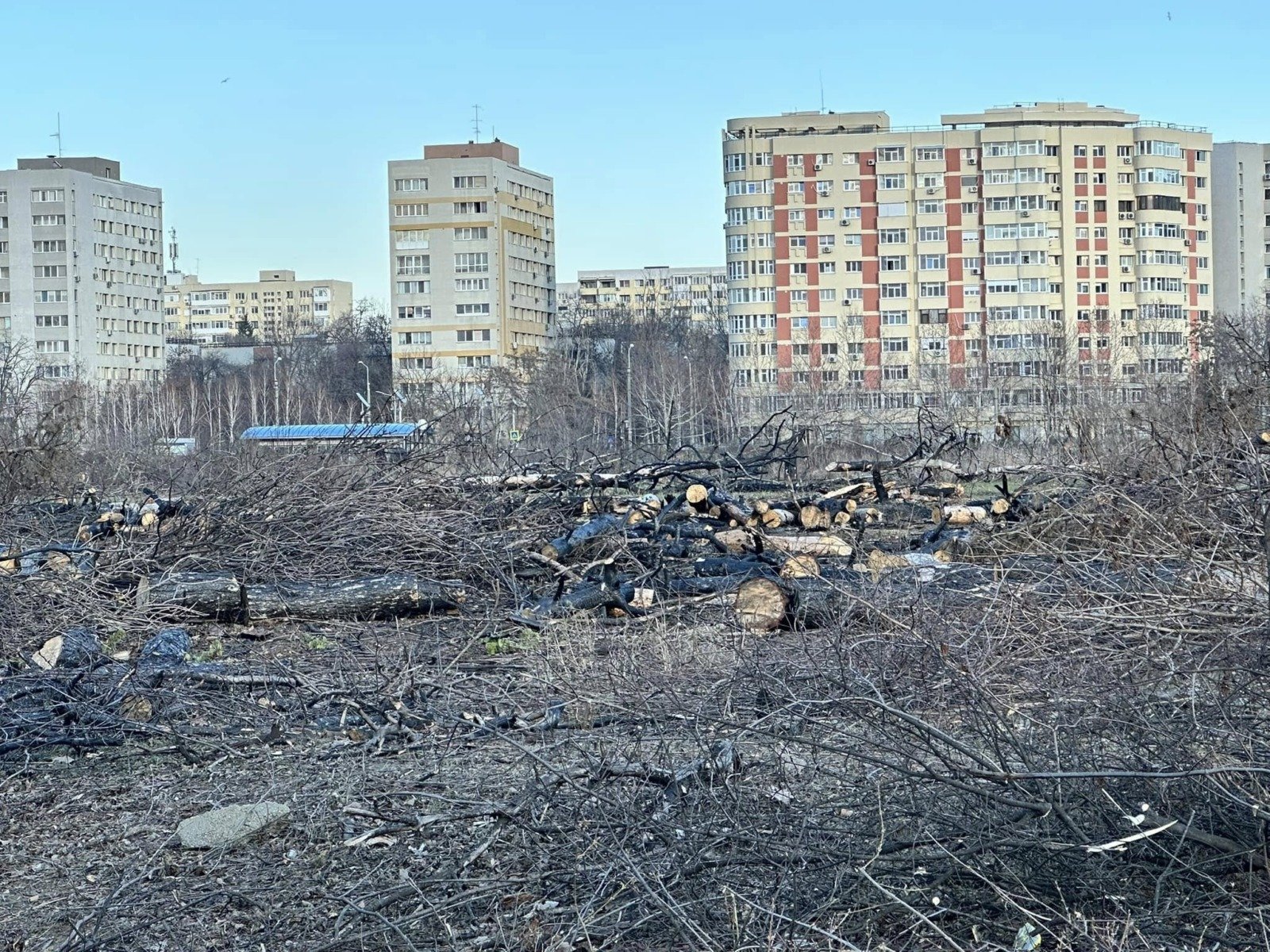 Ciucu răspunde AUR: Primarul Capitalei promite un răspuns oficial la condițiile impuse de partid Primarul Capitalei, Ciprian Ciucu, a anunțat vineri că va elabora un răspuns oficial la solicitările formulate de grupul AUR, care condiționează participarea la ședințele Consiliului General al Municipiului București (CGMB)